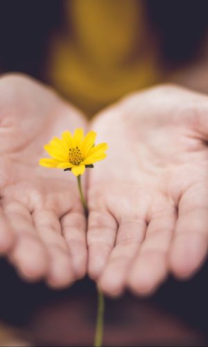 flower